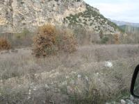 Amasya Merkez Karaçavuş Köyü Milli Emlak'tan Satılık 11.187,84 m2 Tarla