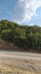 Manisa Selendi Kınık Mahallesi Milli Emlak'tan Satılık 5.000,00 m2 Tarla