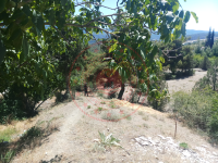 Çorum Kargı Beygircioğlu Köyü Milli Emlak'tan Satılık 1.214,76 m2 Tarla