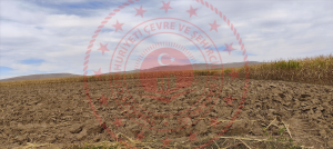 Konya Meram Kavak Köyü Milli Emlak'tan Satılık 4.676,87 m2 Arsa