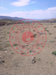 Kırıkkale Yahşihan Keçili Köyü Milli Emlak'tan Satılık 2.713,41 m2 Tarla
