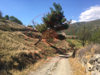 Çorum Kargı Çeltközü Köyü Milli Emlak'tan Satılık 1.295,83 m2 Tarla