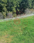 Uşak Merkez Akbulak Köyü Milli Emlak'tan Satılık 521,85 m2 Tarla