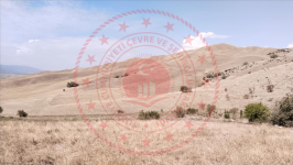 Çorum Merkez Kayı Köyü Milli Emlak'tan Satılık 1.720,00 m2 Tarla
