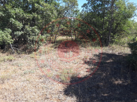 Konya Beyşehir Üzümlü Kasabası Milli Emlak'tan Satılık 128,75 m2 Tarla