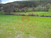 Yozgat Çayıralan Yukarı Yahyasaray Köyü Milli Emlak'tan Satılık 1.741,83 m2 Tarla