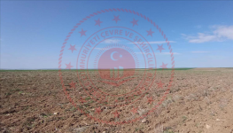 Nevşehir Kozaklı Küllüce Köyü Milli Emlak'tan Satılık 25.249,14 m2 Tarla