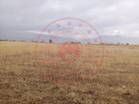 Malatya Akçadağ Ören Milli Emlak'tan Satılık 1.021,35 m2 Arsa