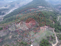 Balıkesir Havran Hallaçlar Köyü Milli Emlak'tan Satılık 3.643,69 m2 Arsa