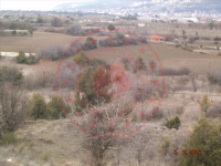 Denizli Tavas Hırka Köyü Milli Emlak'tan Satılık 1.308,10 m2 Tarla