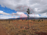 Konya Hüyük Köşk Kasabası Milli Emlak'tan Satılık 739,88 m2 Arsa