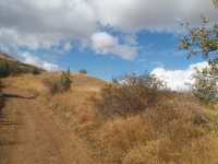 Bayburt Merkez Yerlice Köyü Milli Emlak'tan Satılık 1.260,03 m2 Tarla