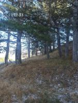 Bolu Mudurnu Çağşak Köyü Milli Emlak'tan Satılık 628,42 m2 Tarla