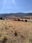 Afyonkarahisar Sandıklı Menteş - Merkez Mahallesi Milli Emlak'tan Satılık 3.300,00 m2 Tarla