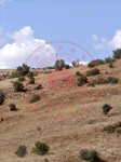 Erzincan İliç Yaylapınar Köyü Milli Emlak'tan Satılık 12.322,54 m2 Tarla