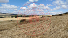 Çorum Alaca Büyükhırka Köyü Milli Emlak'tan Satılık 2.936,32 m2 Tarla