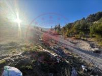 Denizli Acıpayam Akşar Köyü Milli Emlak'tan Satılık 1.427,10 m2 Tarla