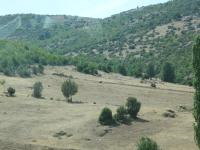 Amasya Merkez Yassıçal - Erkonaş Mahallesi Milli Emlak'tan Satılık 5.067,61 m2 Tarla