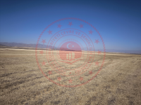 Ağrı Hamur Tükenmez Köyü Milli Emlak'tan Satılık 3.937,41 m2 Tarla