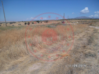 Konya Beyşehir Esence Kasabası Milli Emlak'tan Satılık 4.151,81 m2 Arsa