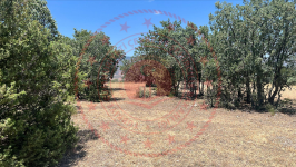 Çorum Ortaköy Cevizli Köyü Milli Emlak'tan Satılık 1.452,86 m2 Tarla