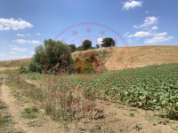 Edirne Uzunköprü Turnacı Köyü Milli Emlak'tan Satılık 7.306,92 m2 Tarla