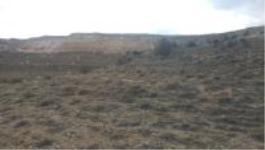 Karaman Merkez Siyahser Mahallesi Milli Emlak'tan Satılık 532,00 m2 Arsa
