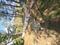 Karaman Ermenek Yukarı Çağlar Köyü Milli Emlak'tan Satılık 1.248,16 m2 Tarla