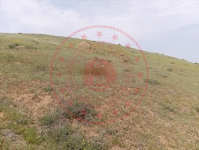 Kırıkkale Keskin Barak Köyü Milli Emlak'tan Satılık 1.738,73 m2 Tarla