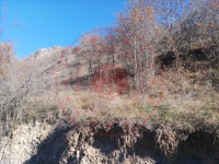 Çorum Kargı Bayat Köyü Milli Emlak'tan Satılık 2.965,43 m2 Tarla