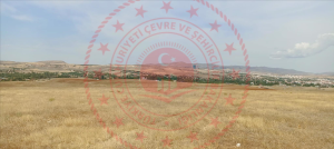 Kırşehir Merkez Yenice Mahallesi Milli Emlak'tan Satılık 1.037,19 m2 Arsa