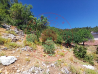 Muğla Menteşe Yaraş Köyü Milli Emlak'tan Satılık 911,97 m2 Arsa