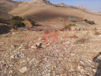 Mardin Artuklu Akbağ Köyü Milli Emlak'tan Satılık 1.951,60 m2 Tarla