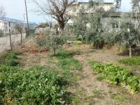 Kahramanmaraş Onikişubat Kavlaklı Milli Emlak'tan Satılık 387,43 m2 Arsa