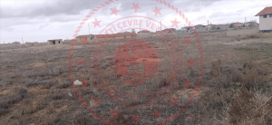 Konya Karatay Yenice Mahallesi Milli Emlak'tan Satılık 1.072,00 m2 Tarla