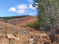 Konya Hüyük Hüyük Mah. Milli Emlak'tan Satılık 286,38 m2 Tarla