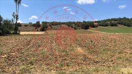 Çorum Ortaköy Salbaş Köyü Milli Emlak'tan Satılık 5.591,65 m2 Tarla