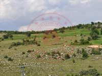 Amasya Merkez Ermiş Köyü Milli Emlak'tan Satılık 2.970,06 m2 Tarla