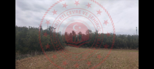 Denizli Honaz Ovacık Köyü Milli Emlak'tan Satılık 3.063,00 m2 Tarla