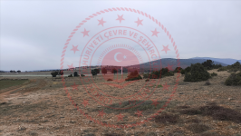 Kütahya Merkez Doğalar Köyü Milli Emlak'tan Satılık 6.756,66 m2 Tarla