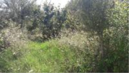 Kocaeli İzmit Kabaoğlu Köyü Milli Emlak'tan Satılık 530,28 m2 Arsa
