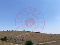 Ankara Polatlı Yıldızlı Köyü Milli Emlak'tan Satılık 8.368,15 m2 Tarla