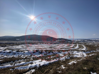 Sinop Saraydüzü Yenice Köyü Milli Emlak'tan Satılık 256,19 m2 Tarla