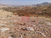 Mardin Artuklu Yalım Köyü Milli Emlak'tan Satılık 278,98 m2 Tarla