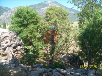 Konya Seydişehir Çatmakaya Köyü Milli Emlak'tan Satılık 61,39 m2 Tarla