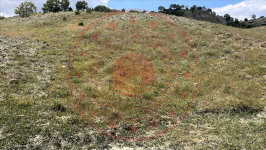 Çorum Ortaköy Esentepe Köyü Milli Emlak'tan Satılık 11.852,76 m2 Tarla