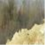 Zonguldak Çaycuma Helvacılar Köyü Milli Emlak'tan Satılık 5.349,96 m2 Tarla