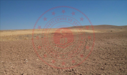Konya Altınekin Koçyaka Köyü Milli Emlak'tan Satılık 88.917,32 m2 Tarla