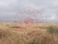 Malatya Akçadağ Ören Milli Emlak'tan Satılık 590,42 m2 Arsa