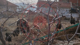 Isparta Yalvaç Taşevi Köyü Milli Emlak'tan Satılık 480,69 m2 Tarla